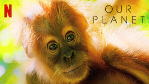 Nature & Ecology Documentaries | Netflix Official Site Nature & Ecology Documentaries | Netflix Official Site